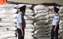 Tạm giữ gần 30 tấn gạo Ấn Độ có dấu hiệu nhập lậu