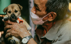 Nhiếp ảnh gia Huỳnh Thanh Quang mang đến những bức ảnh về khoảnh khắc đáng yêu giữa người và các chú cún