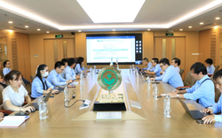 Thái Bình Dương và hành trình chuyển đổi số 