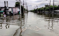 Doanh nghiệp châu Á chuẩn bị đối mặt với 'bão' biến đổi khí hậu