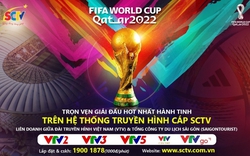 Hướng dẫn xem World Cup 2022 trên SCTV