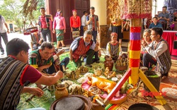 Trình diễn lễ hội mừng cơm mới của đồng bào dân tộc Bru-Vân Kiều