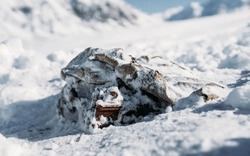 Tìm thấy máy ảnh thất lạc từ năm 1937 trên sông băng, mở ra hành trình khôi phục cuộn phim 85 năm tuổi