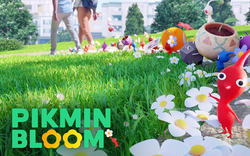 Tròn một năm phát hành, Pikmin Bloom tổ chức lễ kỷ niệm trong suốt tháng 11