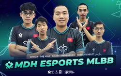 MDH Esports sẽ đại diện cho Việt Nam tham dự giải vô địch thế giới