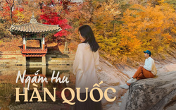 6 địa điểm tận hưởng mùa thu, ngắm lá vàng rơi lãng mạn ở Hàn Quốc 