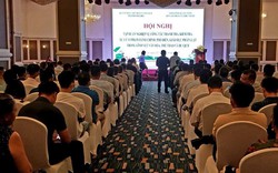 Nâng cao nghiệp vụ công tác thanh tra, kiểm tra, xử lí vi phạm hành chính trong lĩnh vực VHTTDL