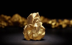 Vi khuẩn được phát hiện vào năm 1976 có thể biến kim loại thành vàng