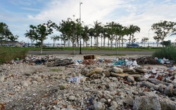 Ảnh: Xà bần, rác thải bủa vây tuyến đường ven biển Đà Nẵng