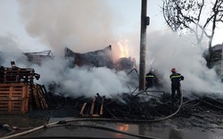 TP.HCM: Cháy xưởng Pallet gỗ thiêu rụi 2 ô tô, 6 người được giải cứu