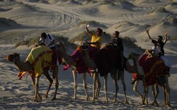 Cưỡi lạc đà trên đồi cát: Du khách trải nghiệm thích thú ở Qatar vào mùa World Cup