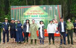 Thêm 150.000 cây xanh được trồng 