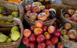 7 loại trái cây giúp bạn giảm cân hiệu quả