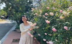 Tốn 2 năm chăm sóc, mẹ đảm ở Gia Lâm trồng được hàng rào hồng cổ đẹp như tranh, hàng xóm thích mê