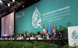 Dấu mốc thỏa thuận đa dạng sinh học lịch sử tại hội nghị Liên hợp quốc