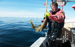 Na Uy - quốc gia dẫn đầu toàn cầu về quản lý thủy hải sản bền vững