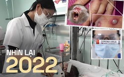 Năm 2022: Dịch bệnh và những loại virus gây bệnh phức tạp, nguy cơ tử vong tới 90% và chưa có vaccine phòng ngừa