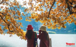 Du khách đổ xô đến check-in với lá vàng bên Hồ Hoàn Kiếm