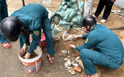 Đà Nẵng: Đang thi công vỉa hè, đào được 10 quả lựu đạn