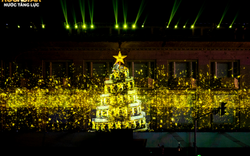 Hàng chục nghìn bạn trẻ cùng nhau tạo ra cây thông Noel sáng nhất Hà Nội