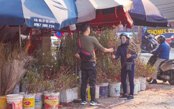 Chợ hoa Hà Nội nhộn nhịp trước Tết 2023