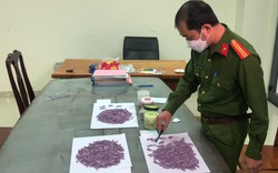 4000 viên thuốc lắc giấu trong thùng trái cây chuyển từ Hà Nội vào Đà Nẵng