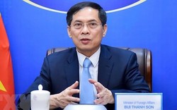 Bộ Chính trị phê bình nghiêm khắc Bộ trưởng Ngoại giao Bùi Thanh Sơn