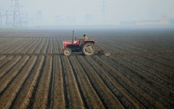 Nông dân Ấn Độ bứt phá hiệu quả chống chọi với hạn hán