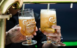 6 tiêu chí “vàng” để lựa chọn ra loại bia ngon mà không phải ai cũng biết