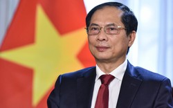 Ngoại giao Việt Nam năm 2022: Phát huy mạnh mẽ bản sắc 