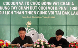 Cocoon - Mỹ phẩm Việt không ngừng hành động góp phần bảo tồn động vật
