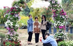 Giới trẻ Hà Nối rủ nhau đến “check in” lễ hội hoa Mê Linh 2022