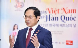 Bộ trưởng Ngoại giao: Chuyến thăm Hàn Quốc của Chủ tịch nước là dấu mốc quan trọng thúc đẩy hợp tác hai nước