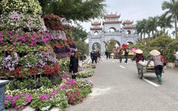 Lễ hội hoa Mê Linh năm 2022 với nhiều hoạt động hấp dẫn du khách