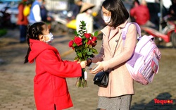 Hàng ngàn bông hoa hồng được gửi trao yêu thương trong ngày Lễ tình nhân