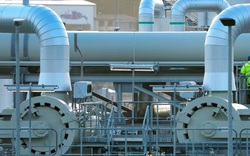 Đức dừng dự án Nord Stream 2 với Nga giữa khủng hoảng năng lượng leo thang