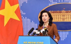 Việt Nam quan ngại trước tình hình xung đột vũ trang ở Ukraine