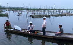 Thừa Thiên Huế: Người dân thiệt hại nặng do cá nuôi lồng chết hàng loạt