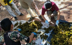 Thái Lan phạt nặng khách dùng đồ nhựa và xốp tại các vườn quốc gia