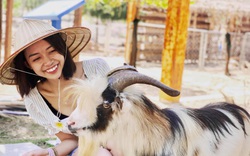 Hòa mình vào thiên nhiên hoang dã tại FLC Zoo Safari Park Quy Nhon