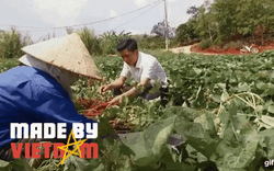 tỷ lệ kèo nhà cái