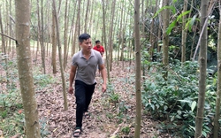 Quảng Bình: Một quân nhân trở về nhà sau 23 ngày mất tích