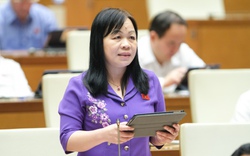 Đại biểu Quốc hội đề nghị tạo điều kiện cho bác sĩ nước ngoài hành nghề để thu hút khách du lịch tới Việt Nam