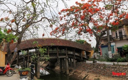 Vẻ đẹp của cây cầu ngói trên 500 tuổi tại Nam Định