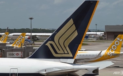 Giữa đà phục hồi du lịch, các hãng hàng không lớn chưa đón được tín hiệu