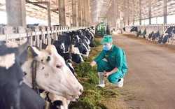 
Mô hình Vinamilk Green Farm được chia sẻ tại Hội nghị Sữa toàn cầu