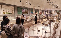 Lần đầu tổ chức triển lãm hóa thạch tại Festival Huế