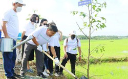 Nestlé Việt Nam trồng rừng góp phần giảm tác động biến đổi khí hậu
