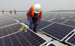 Nikkei: Pin mặt trời Việt Nam được miễn thuế 24 tháng vào Mỹ