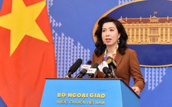 Việt Nam mong muốn đóng góp tích cực vào tiến trình thúc đẩy đối thoại hợp tác và hoà giải trên bán đảo Triều Tiên